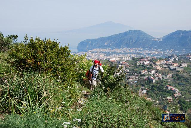 zio bacco in penisola sorrentina.JPG